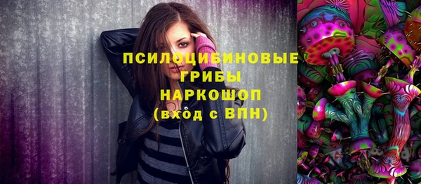 стафф Краснотурьинск